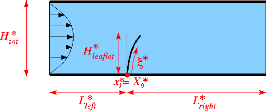 fsi_channel_with_leaflet_dim.gif
