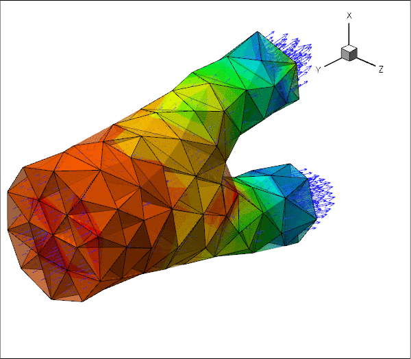 elastic_iliac_fluid.gif