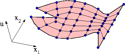fish_domain_with_mesh.gif