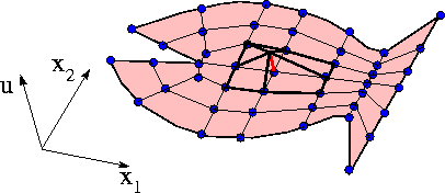 fish_domain_with_shape_fct.gif