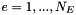 $ e=1,...,N_E$