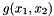 $ g(x_1,x_2)$