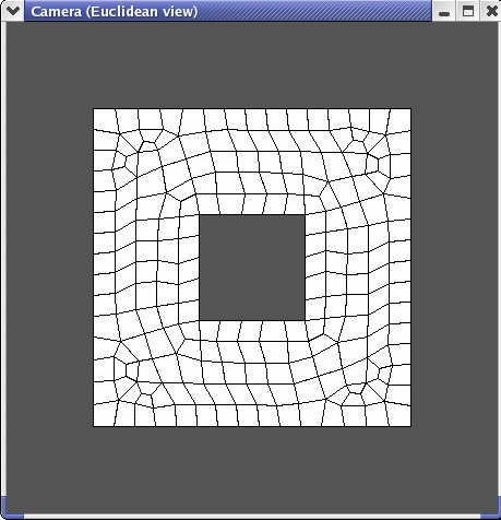 geomview_box_screenshot.gif