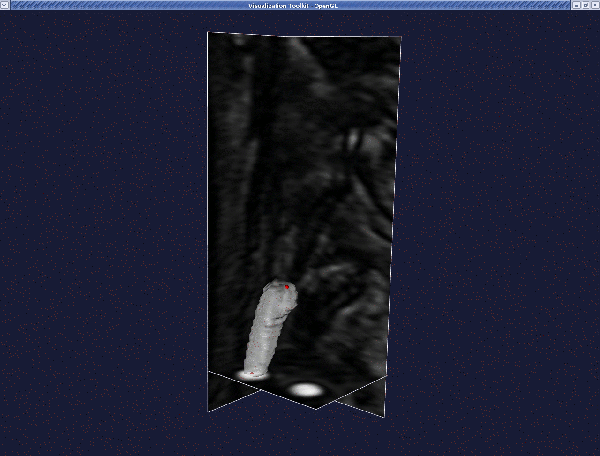 deformable_model2.gif