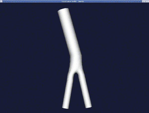 extenstion_display.gif