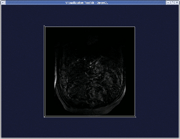 scan.gif