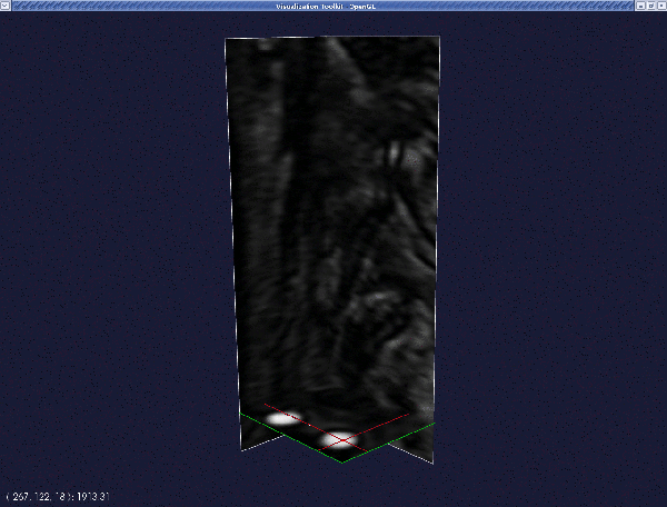 seed1.gif