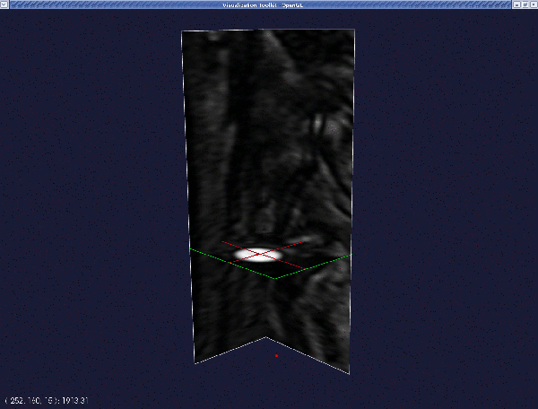 seed2.gif