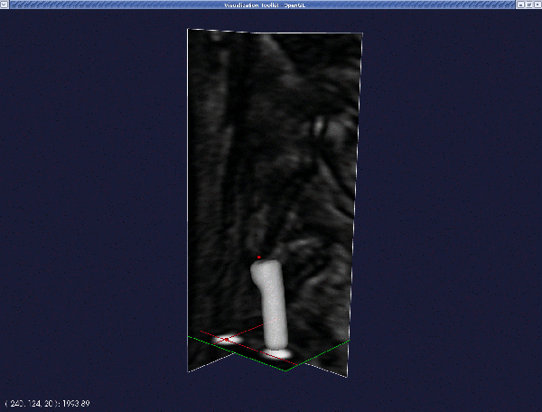 seed4.gif