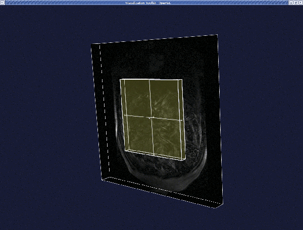 voi_cube.gif