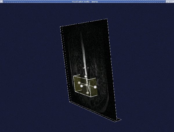 voi_cube2.gif