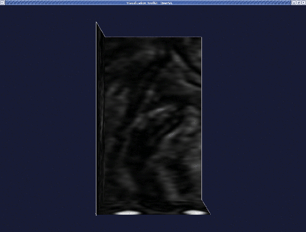 voi_display.gif