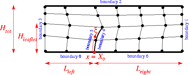 channel_with_leaflet_mesh.gif