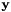 $\bf{y}$