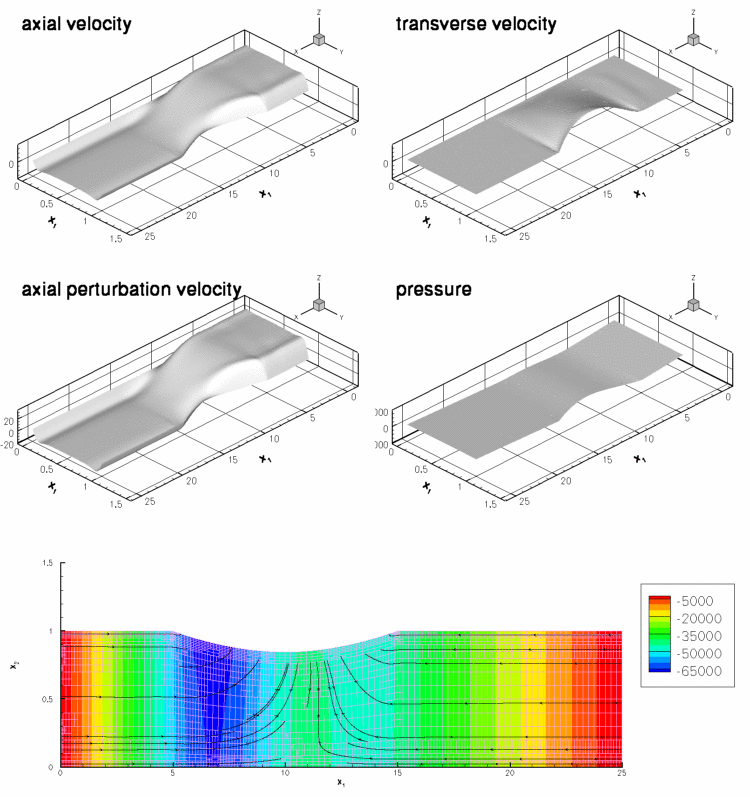 large_amplitude_flow.gif