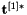 $ \mathbf{t}^{[1]*} $