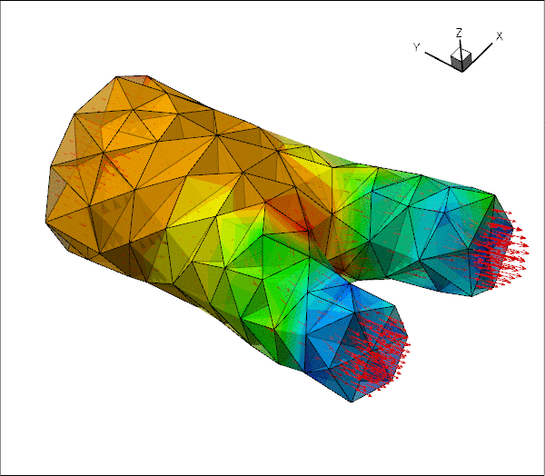vmtk_fluid.gif