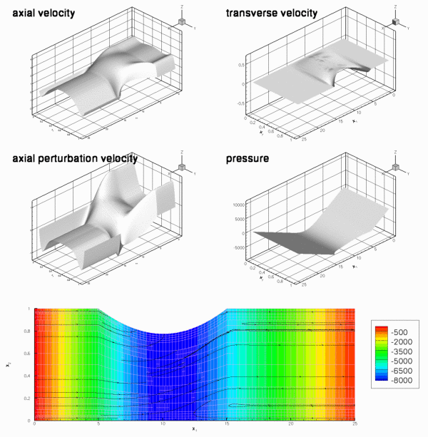 oomph-lib: Flow in a 2D collapsible channel revisited – enabling ...